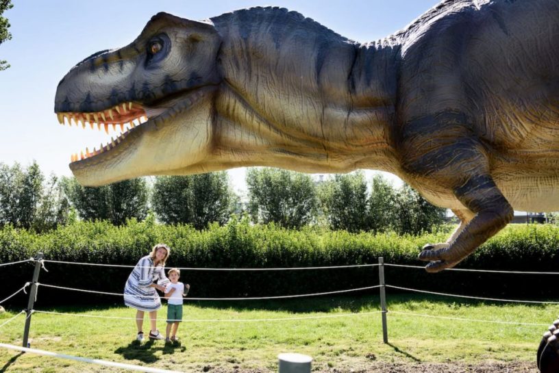 Dino Experience Park