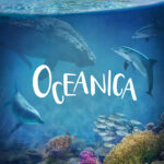 Dolfinarium Oceanica